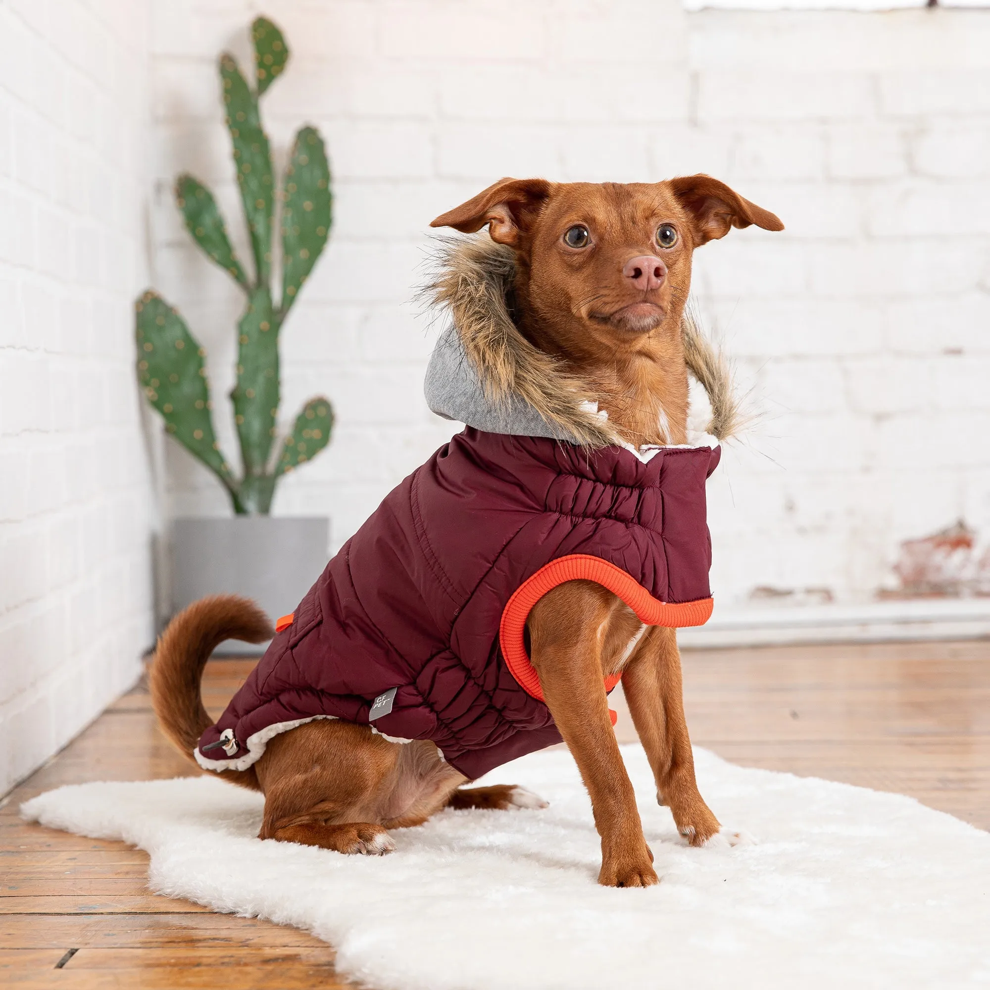 Winter Sailor Parka Dog Jacket Burgundy